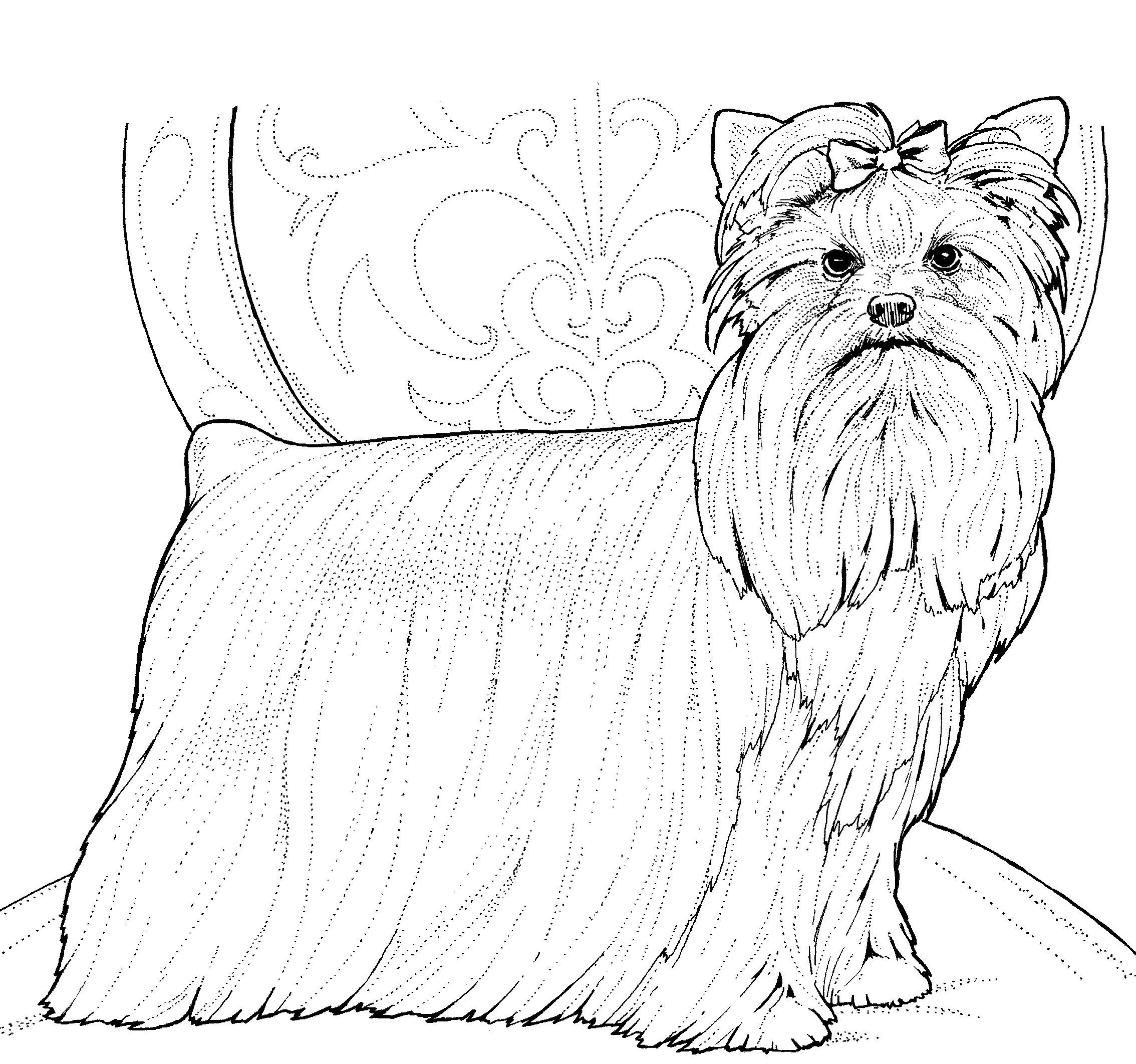 Köpek