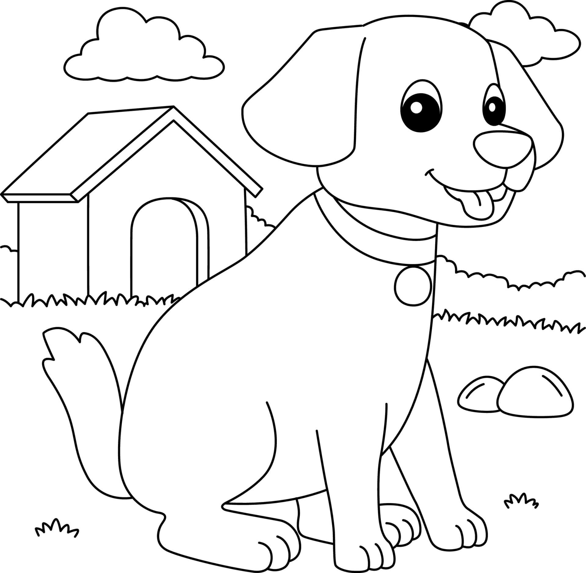 Köpek