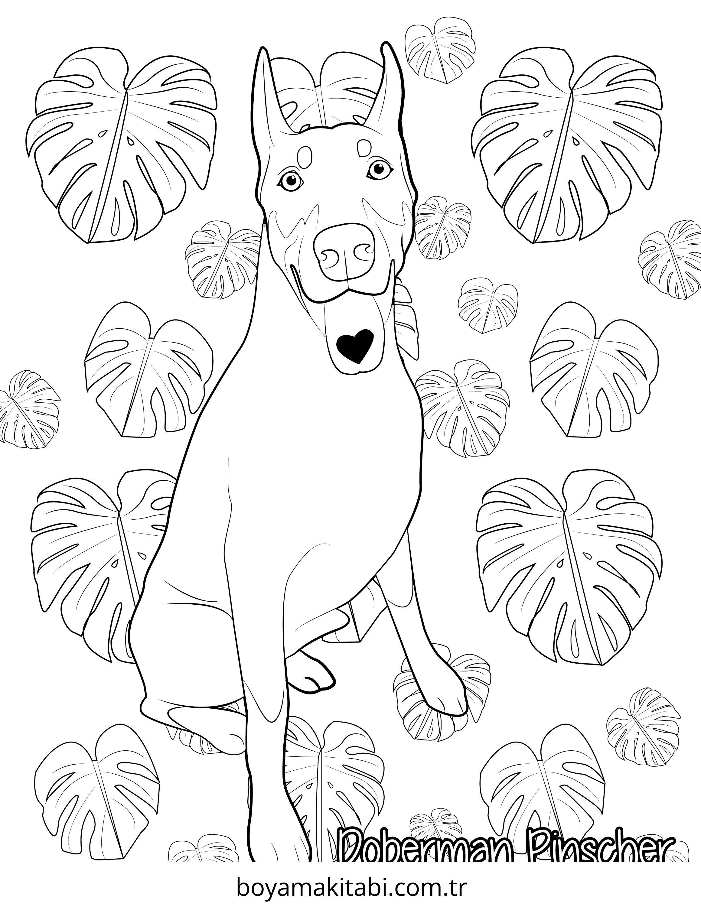 Köpek