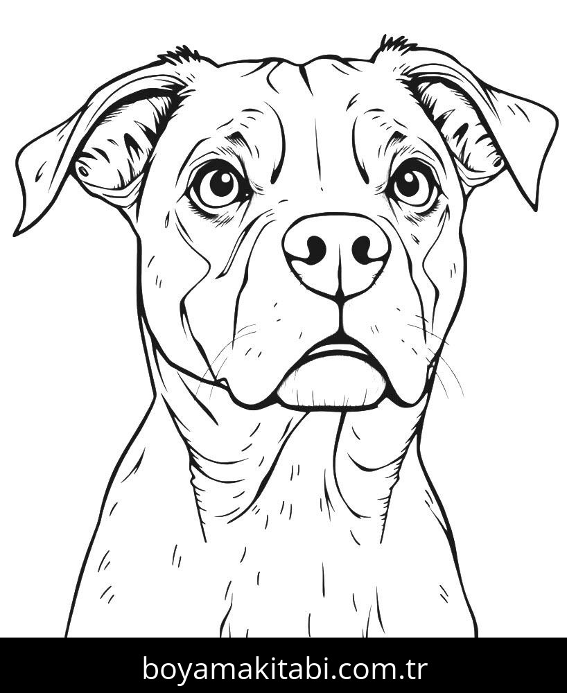 Köpek