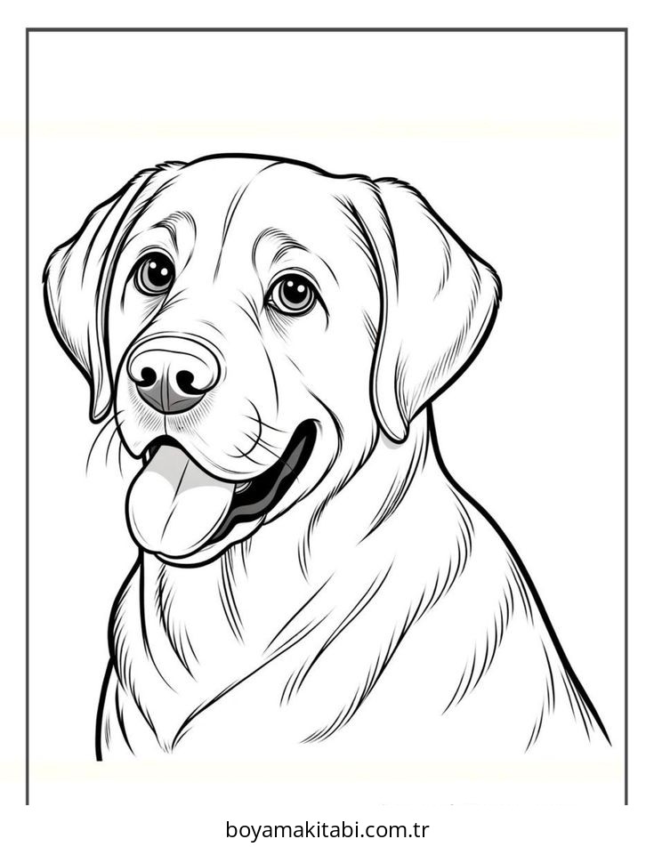 Köpek