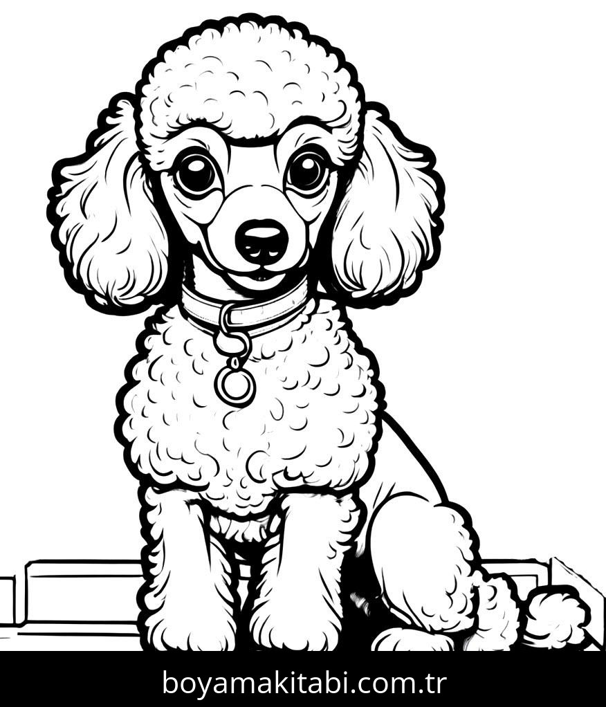 Köpek