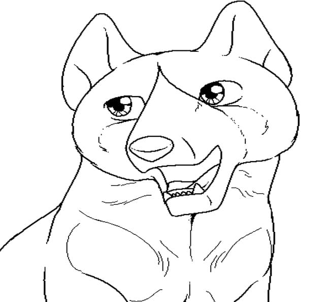 Köpek