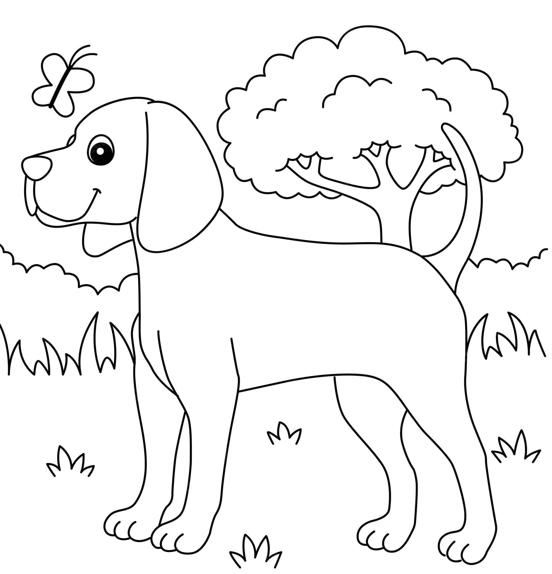 Köpek