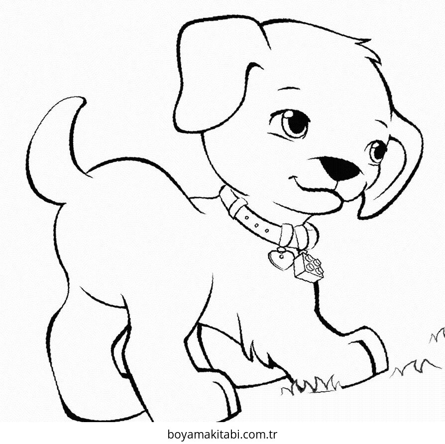 Köpek