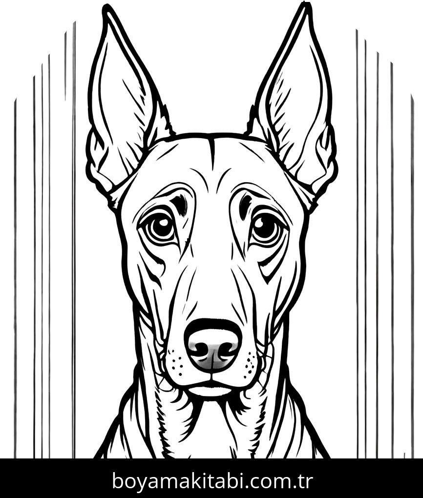 Köpek