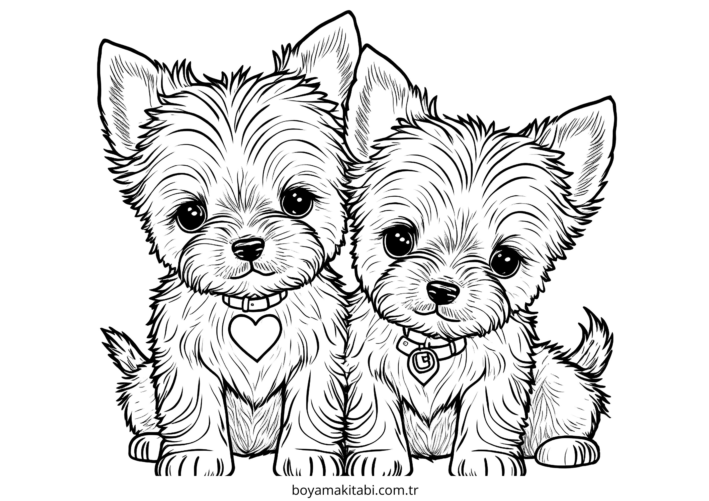 Köpek