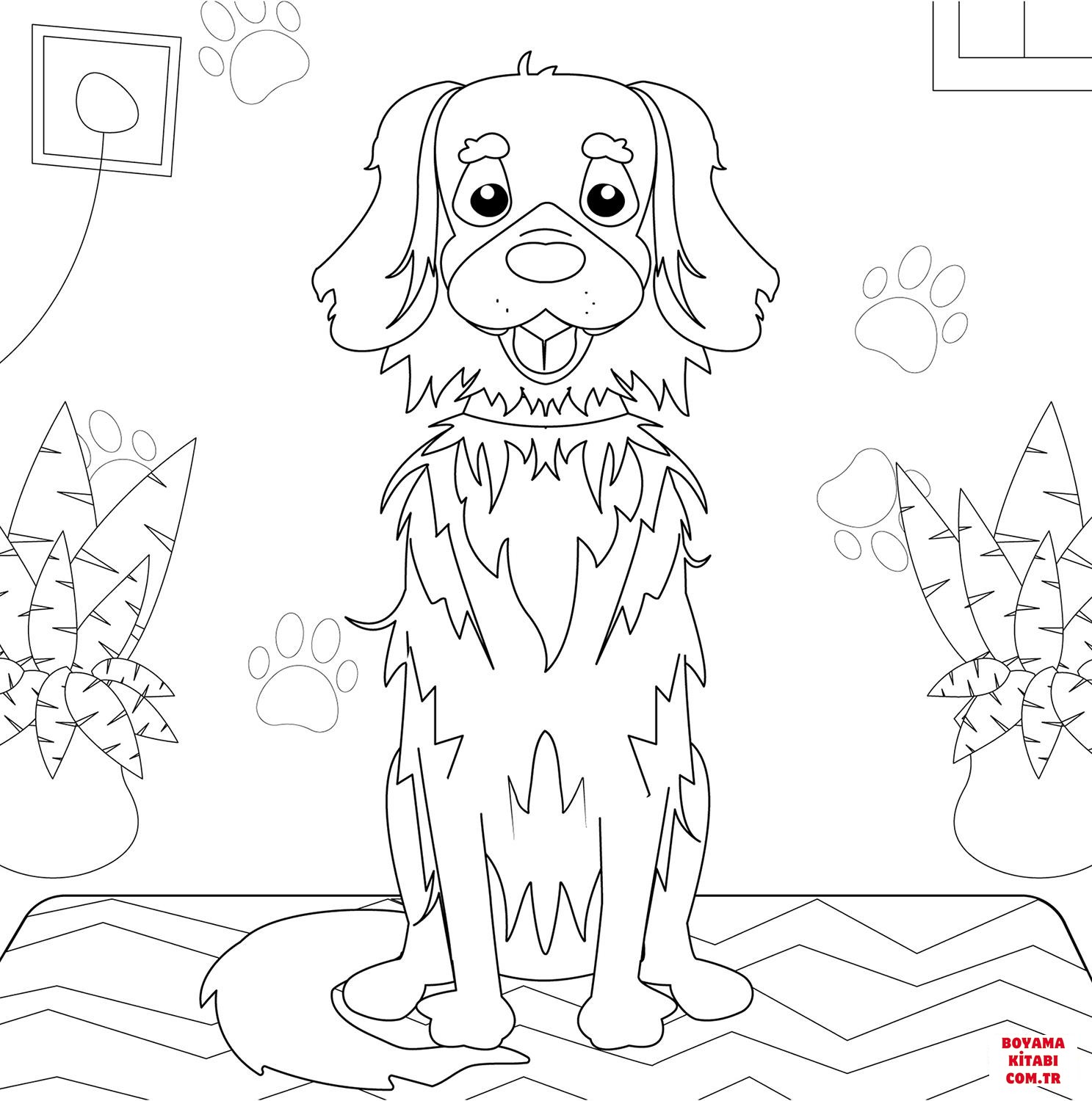 Köpek