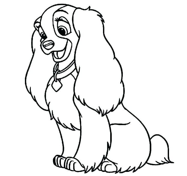 Köpek