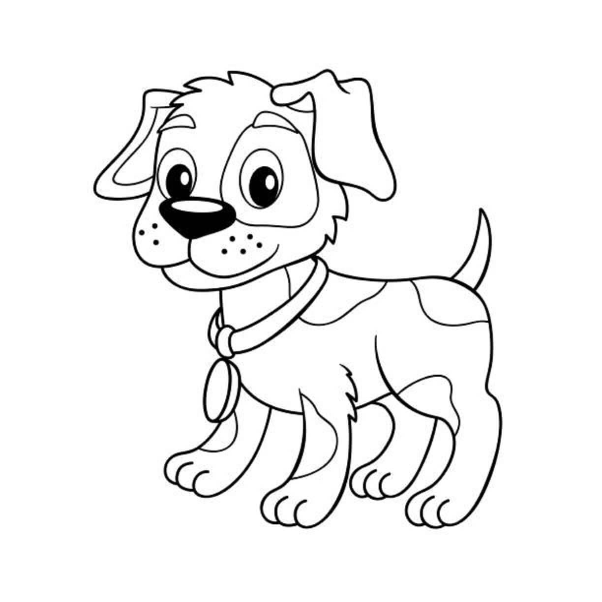 Köpek