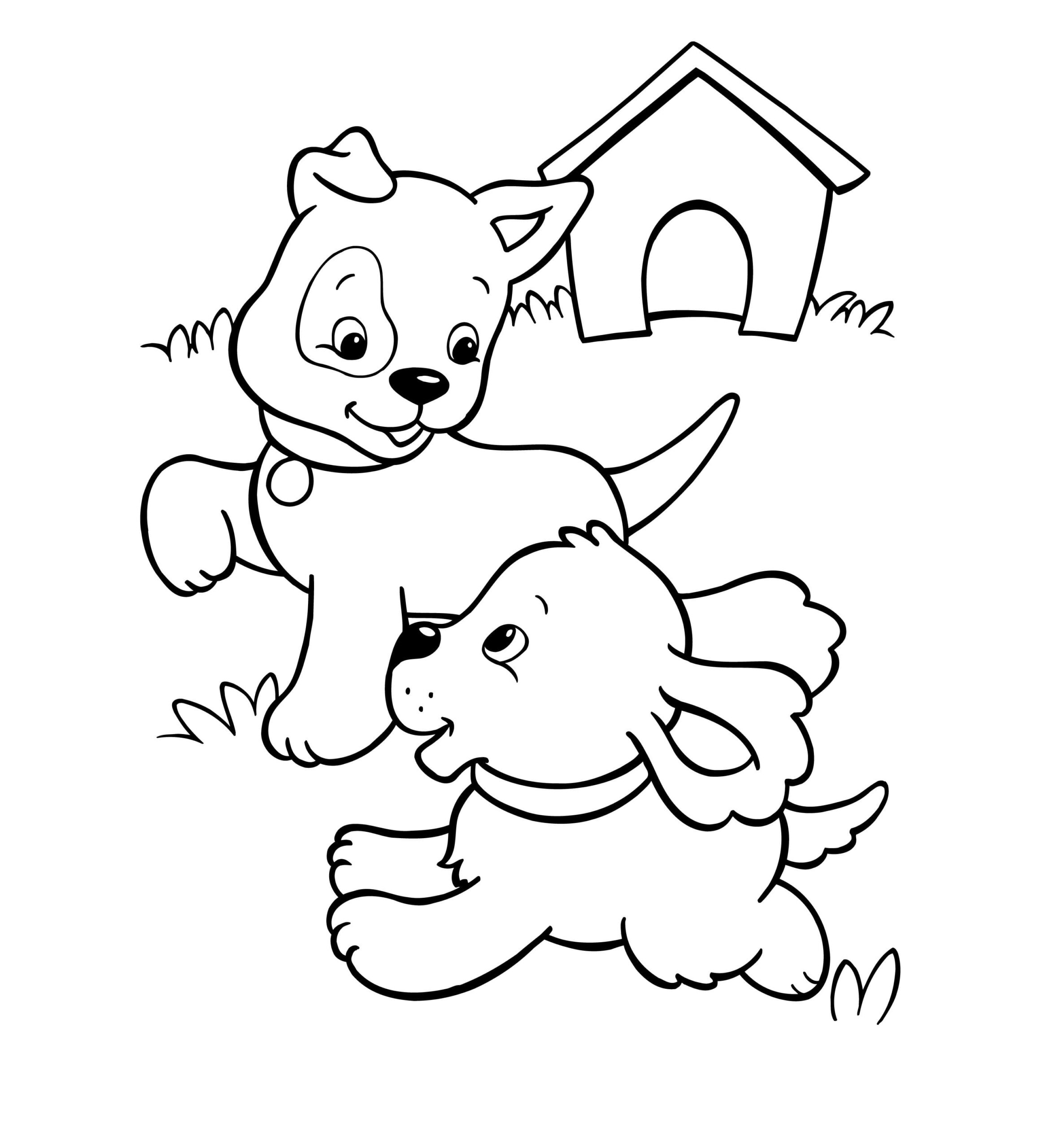 Köpek