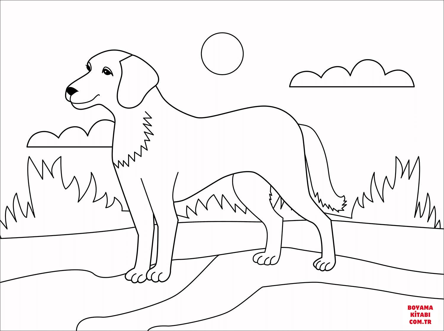 Köpek