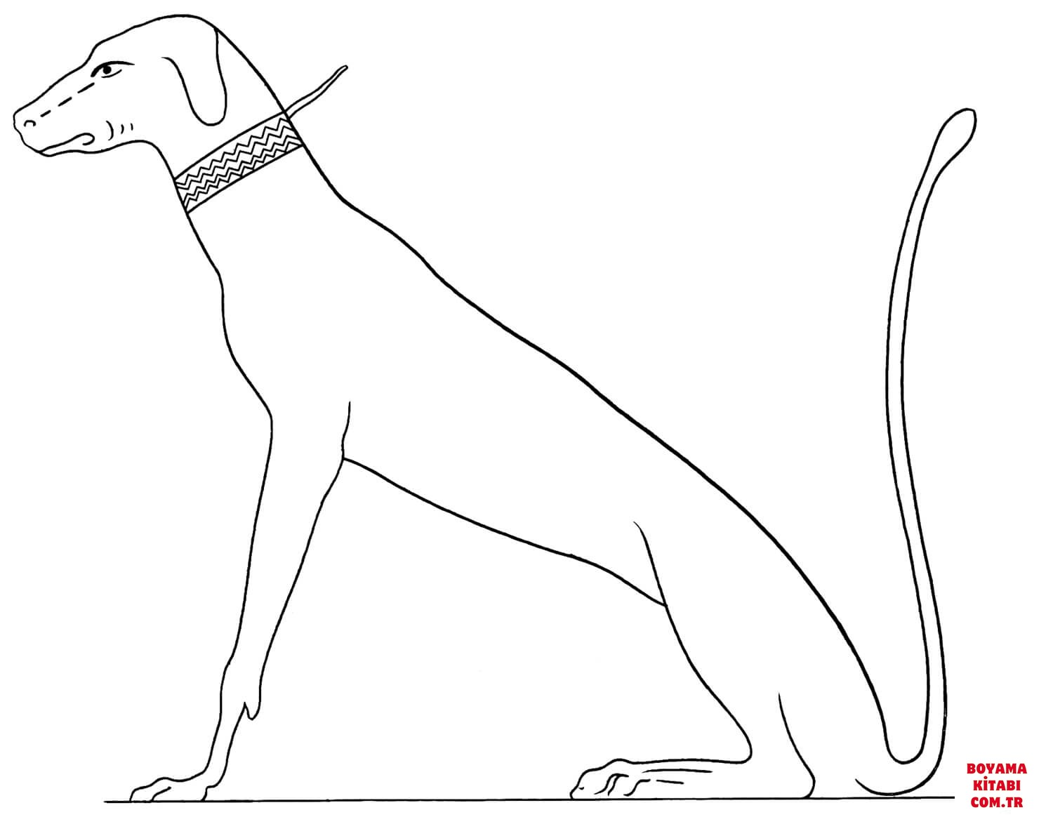 Köpek