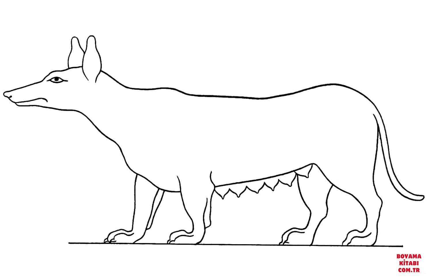 Köpek