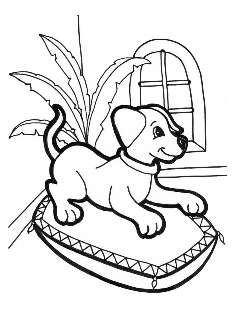 Köpek
