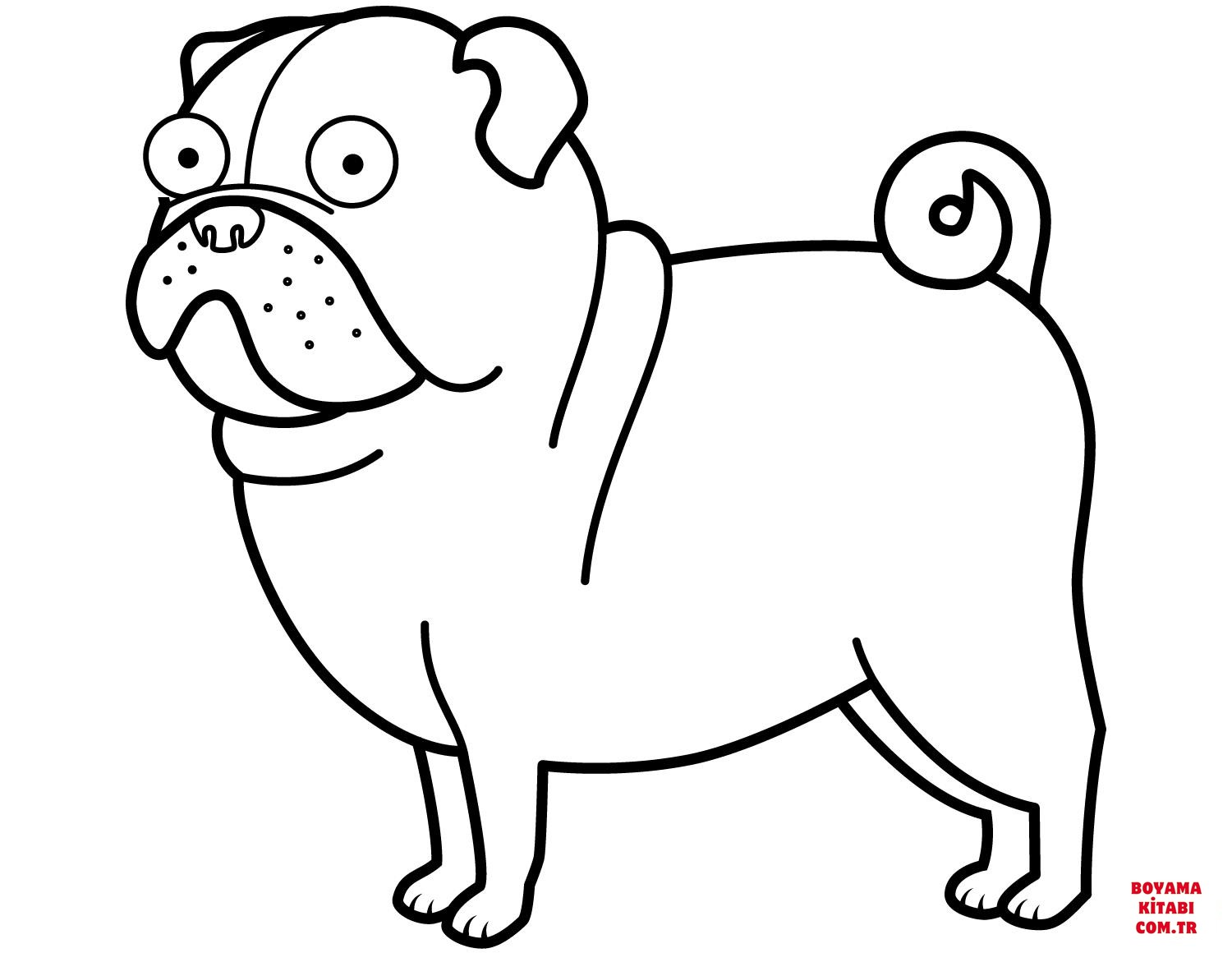 Köpek
