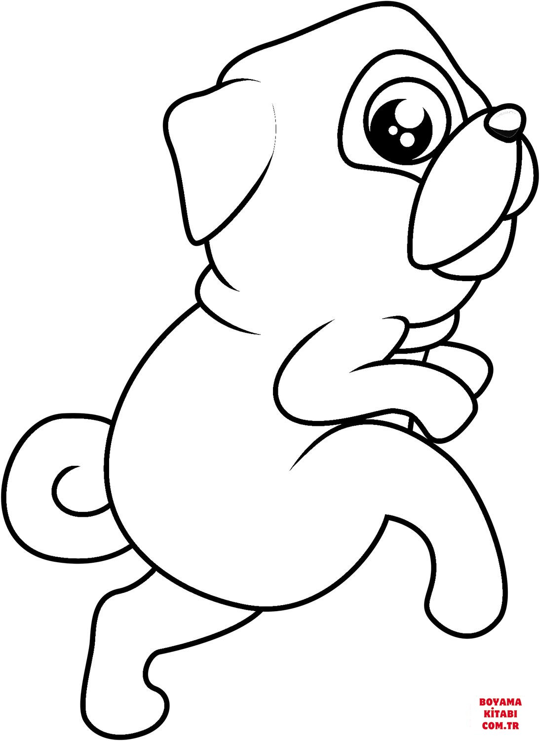 Köpek