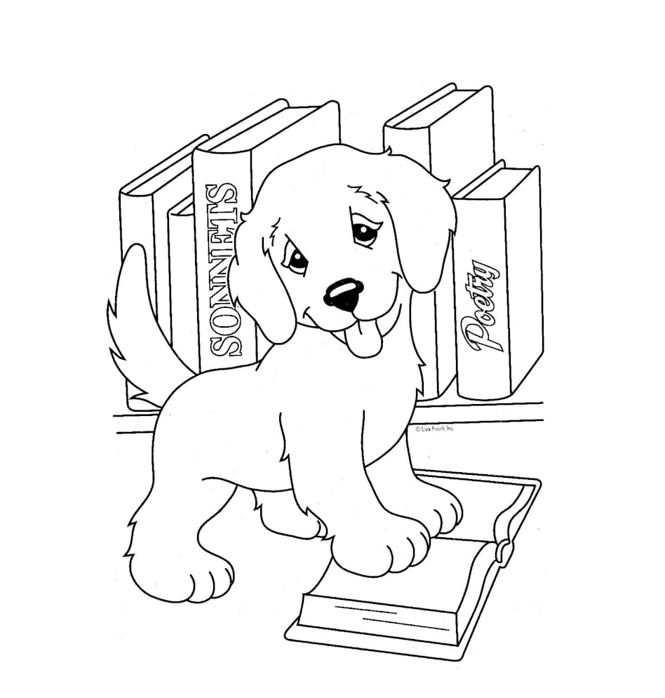 Köpek