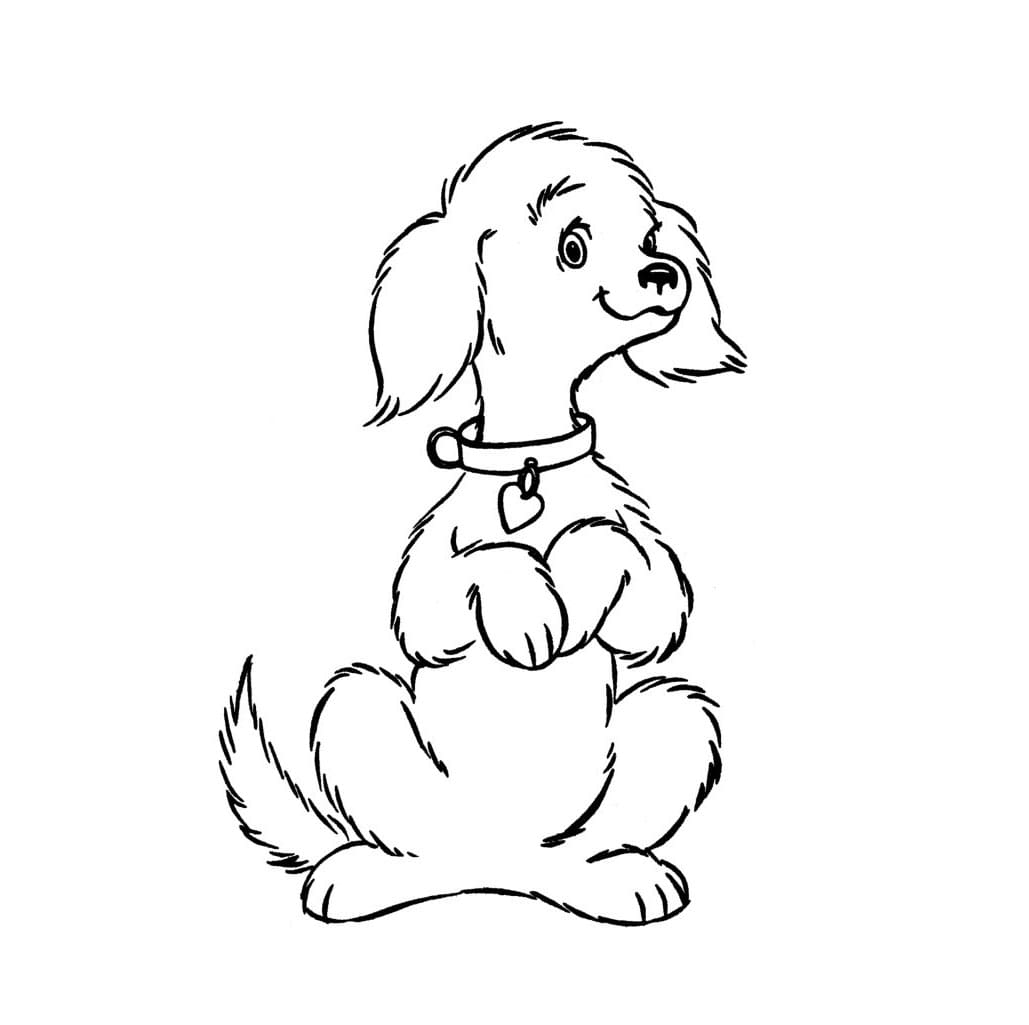 Köpek