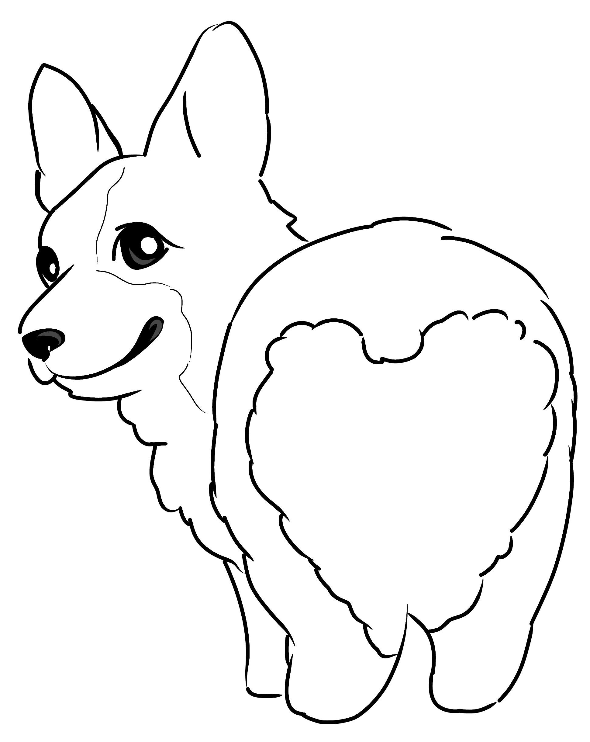 Köpek