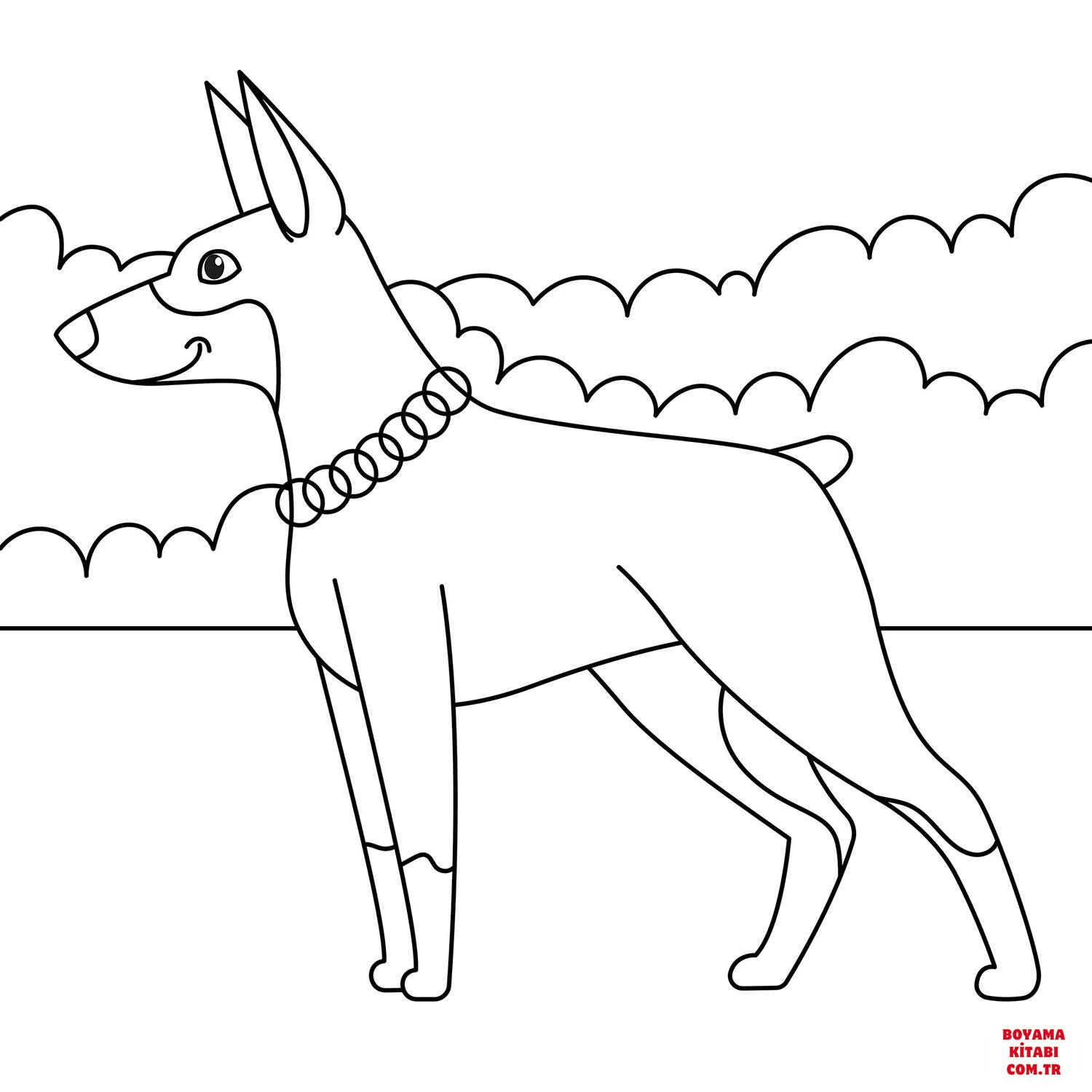 Köpek