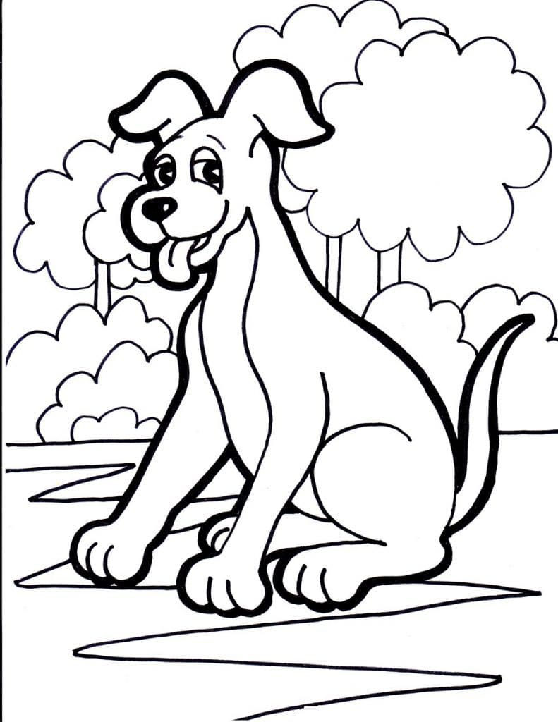 Köpek