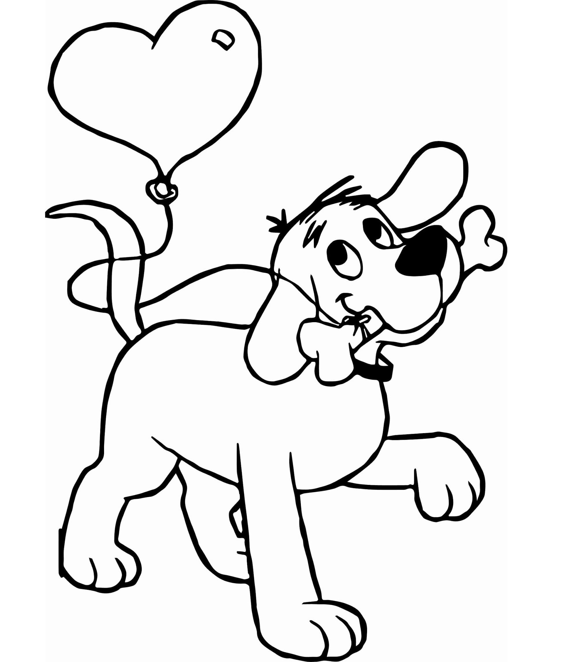 Köpek