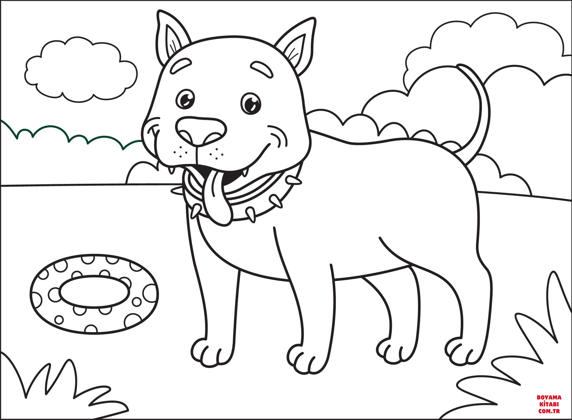 Köpek