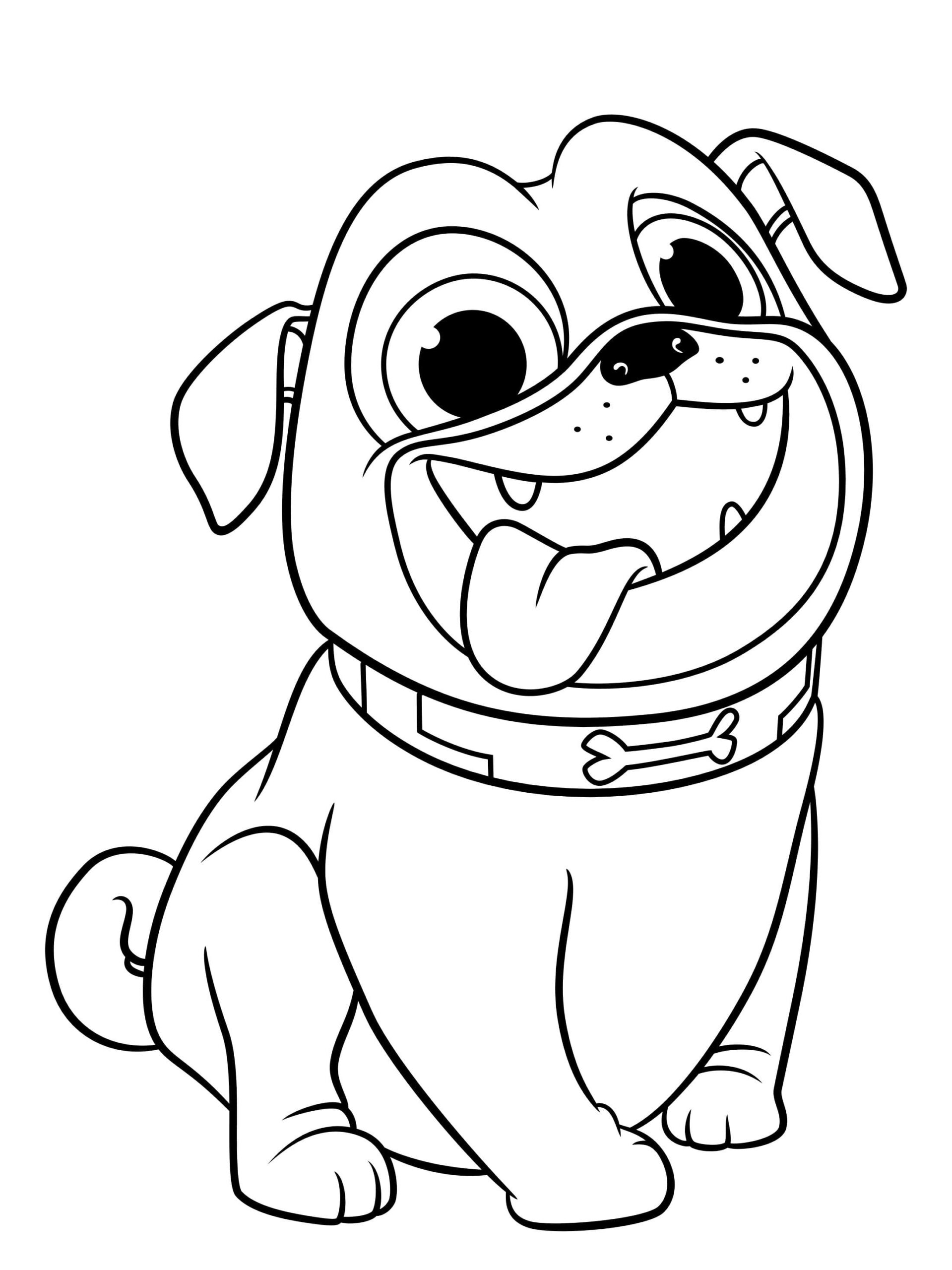 Köpek
