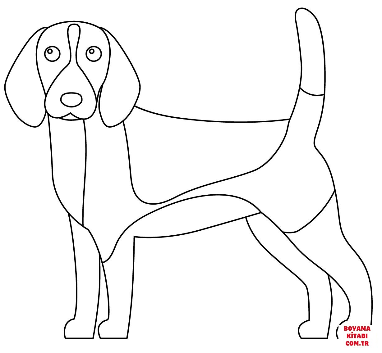 Köpek