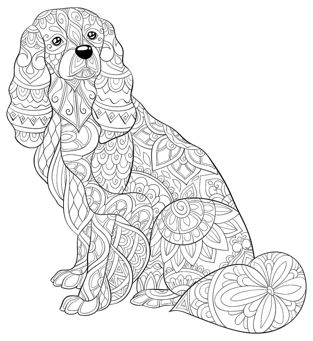 Köpek