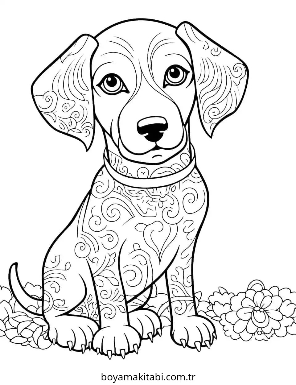 Köpek