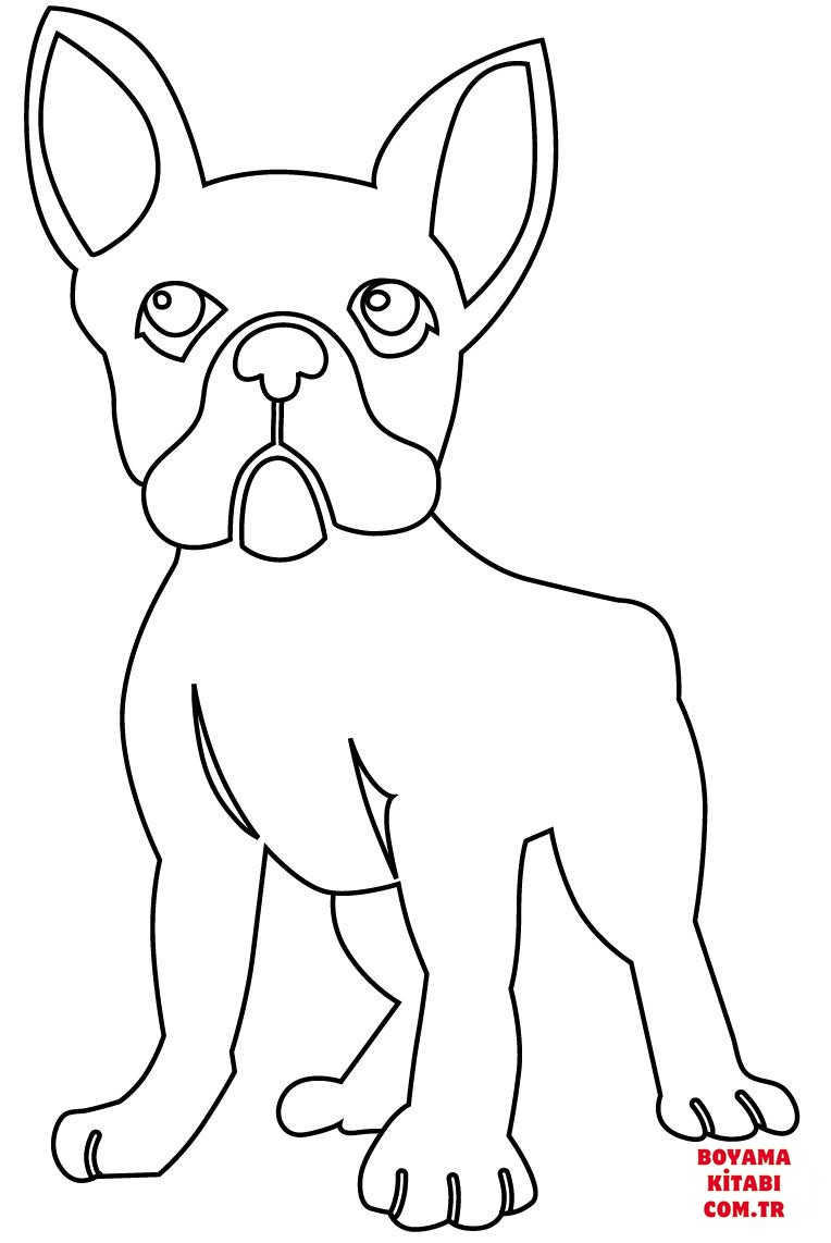 Köpek