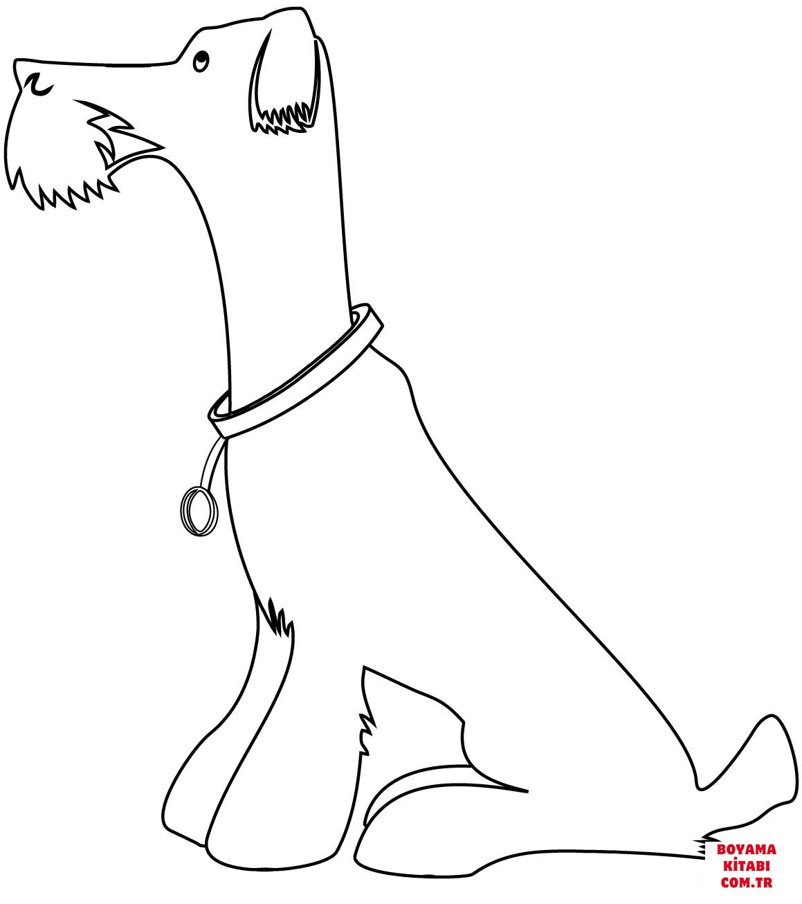 Köpek