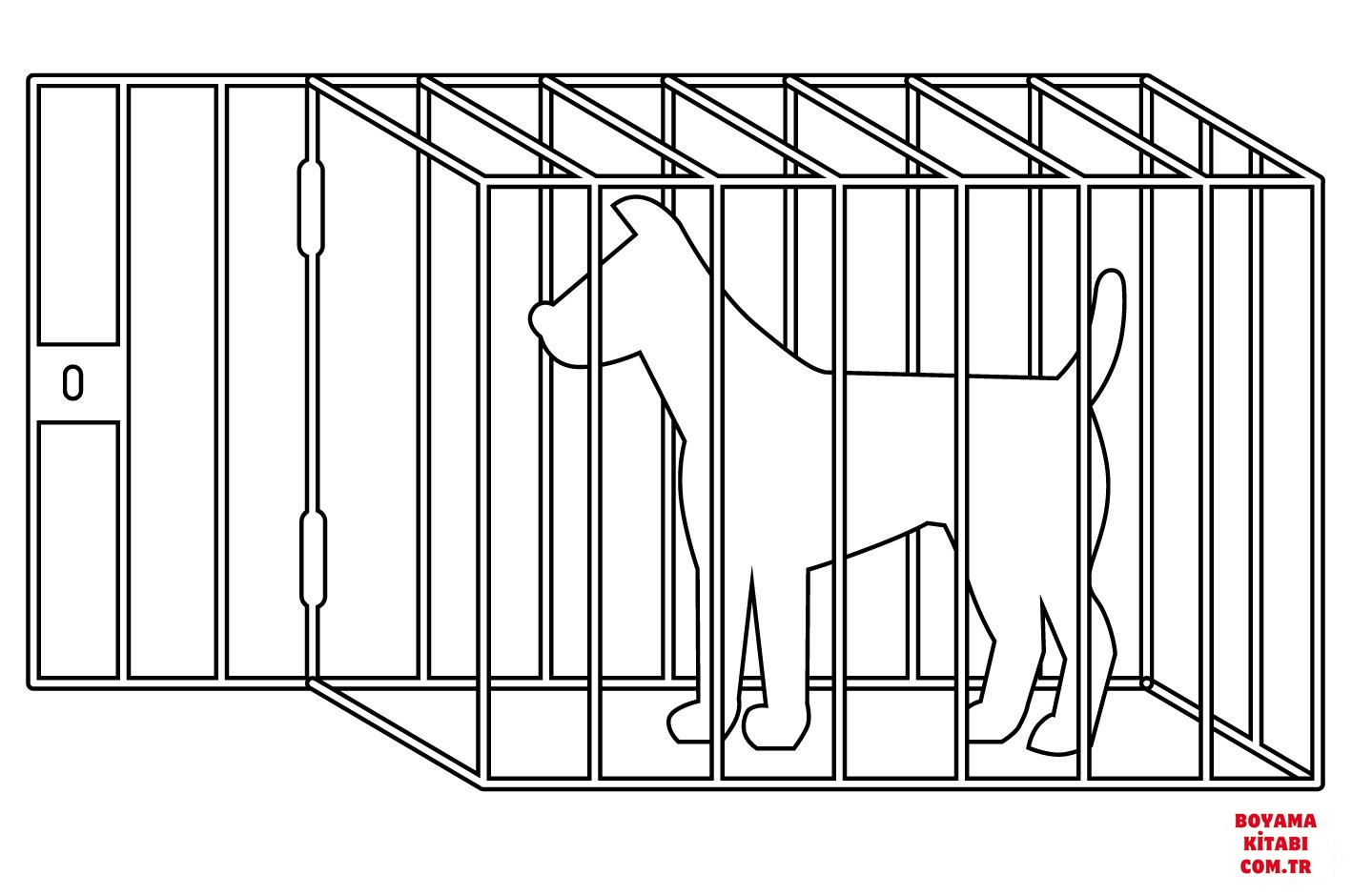 Köpek