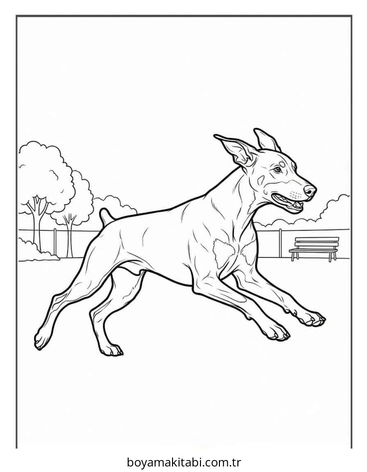 Köpek