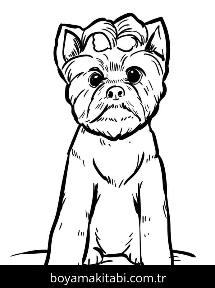 Köpek