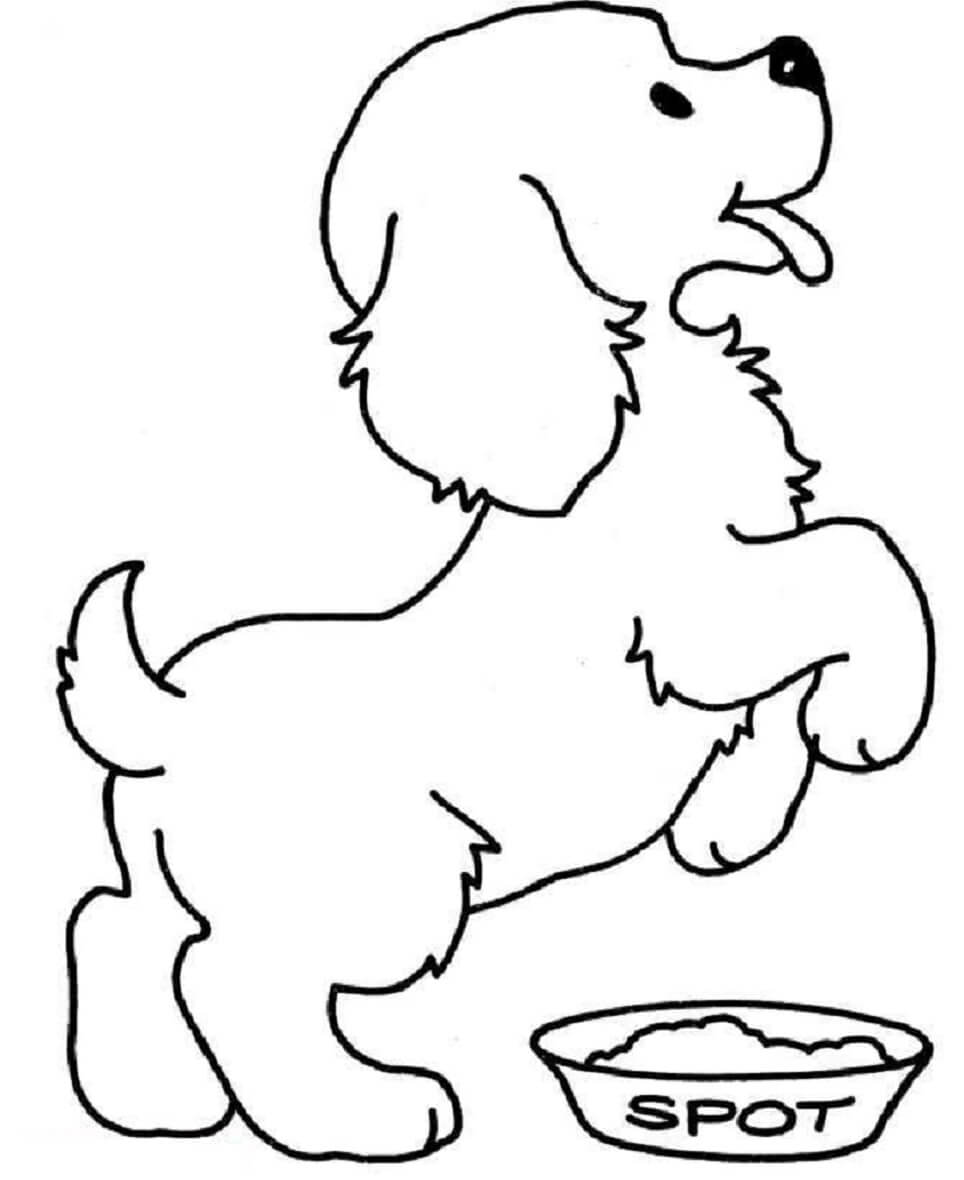 Köpek