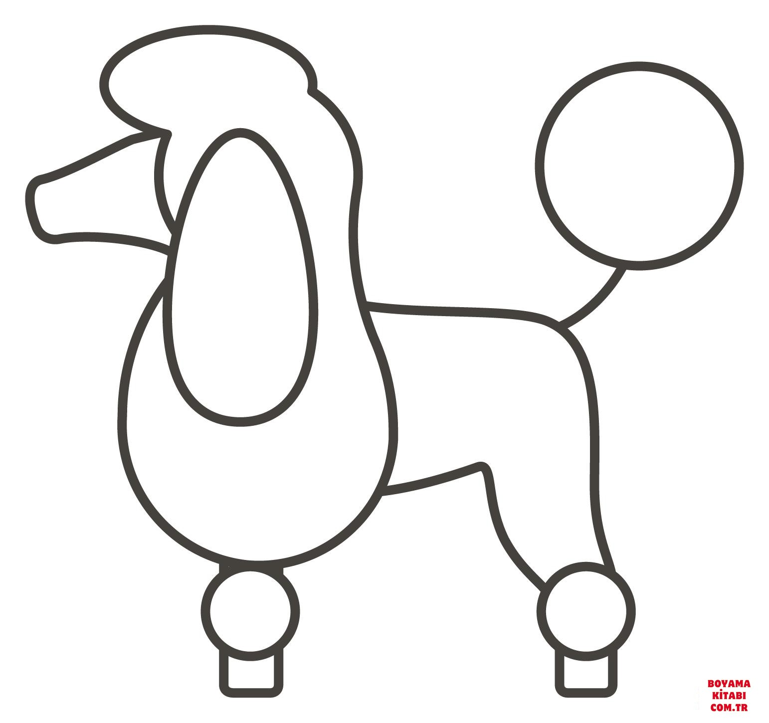 Köpek