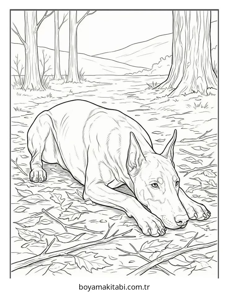Köpek