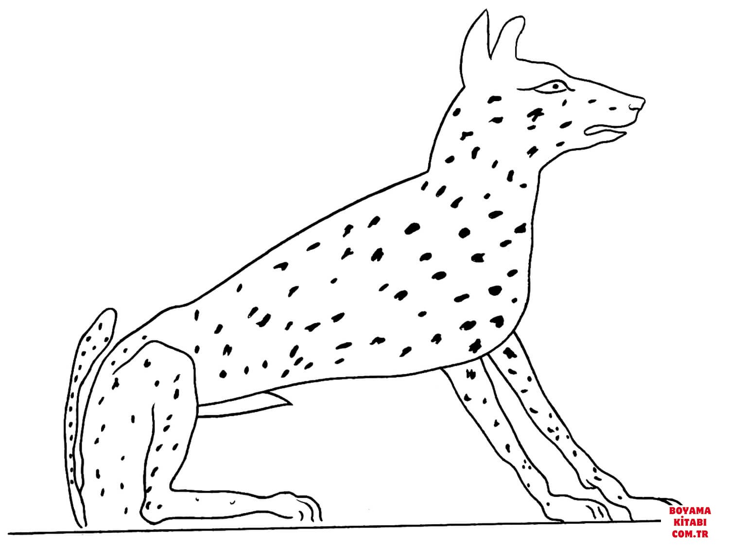 Köpek
