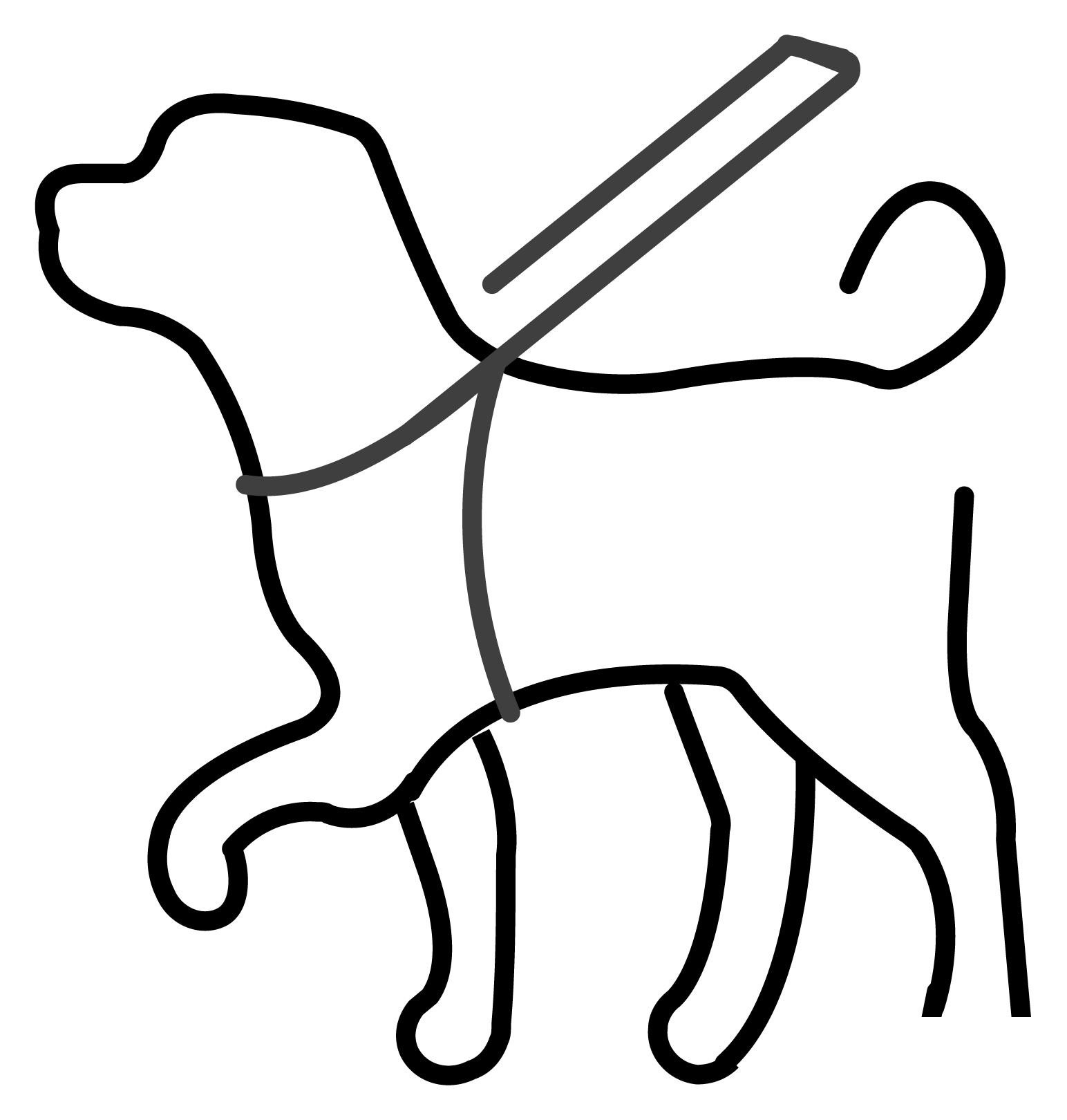 Köpek