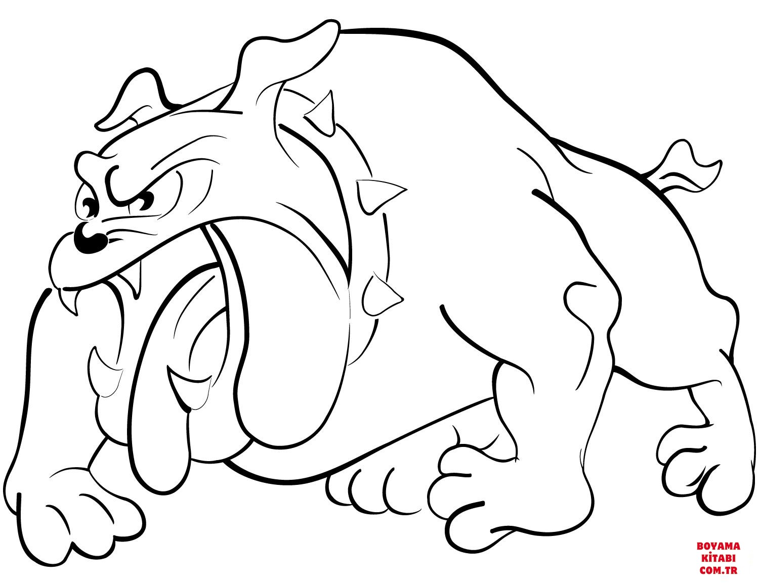 Köpek