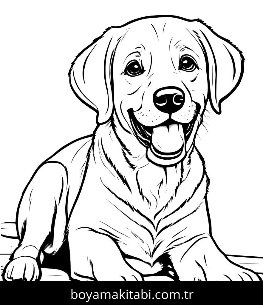 Köpek