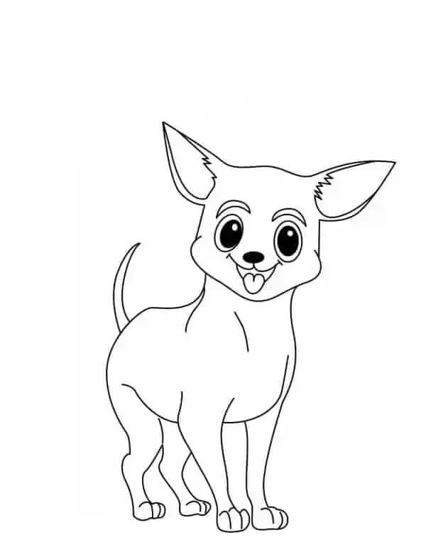 Köpek Yavrusu