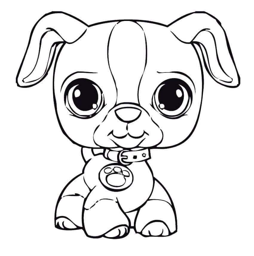 Köpek Yavrusu