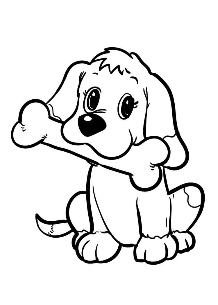 Köpek Yavrusu
