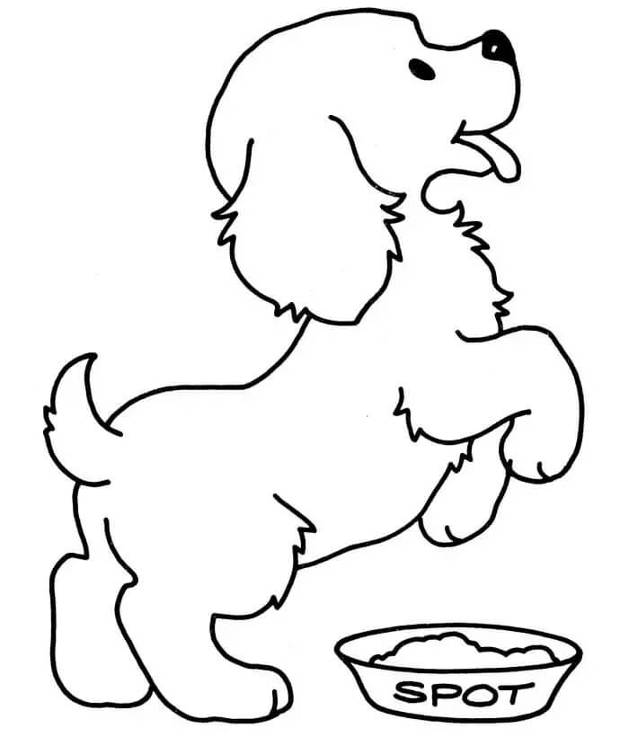 Köpek Yavrusu
