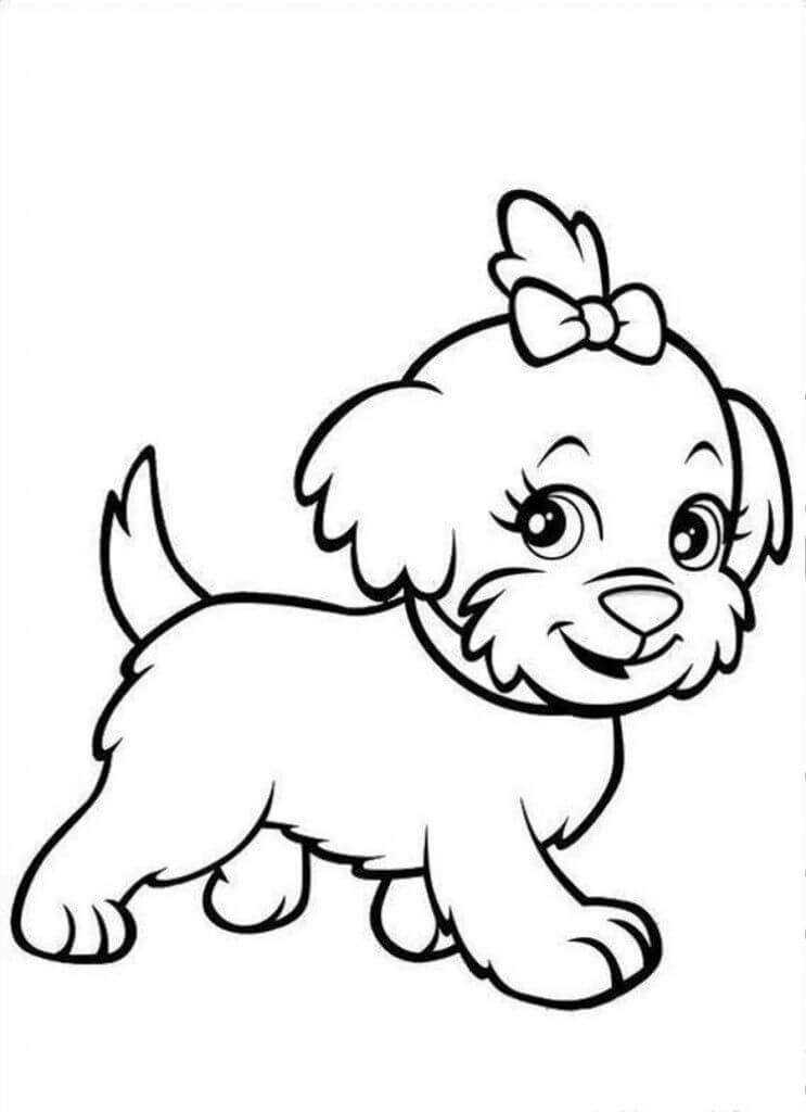 Köpek Yavrusu
