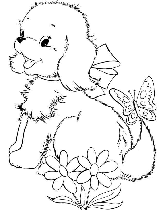Köpek Yavrusu